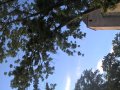 WP_20160806_18_10_17_Pro.jpg